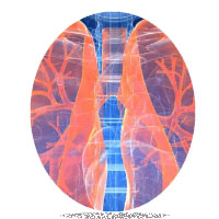 Respiratory System